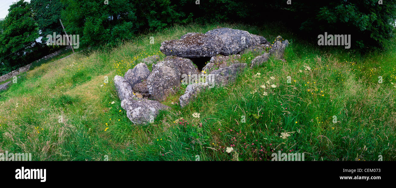 Passage Tomb In Co Limerick, Ireland Stock Photo