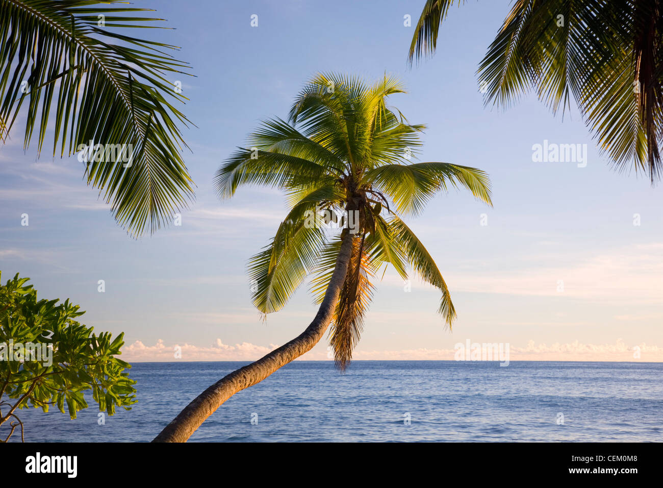 Pretty overhanging tree hi-res stock photography and images - Alamy