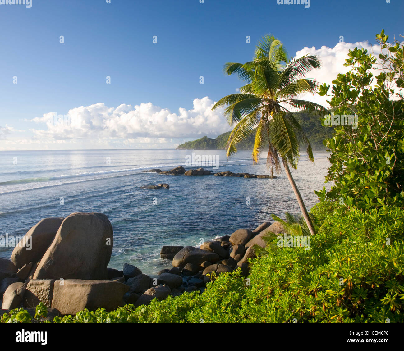 Cap Lascars, Mahé, Seychelles. View across Anse Forbans, palm-tree in foreground. Stock Photo