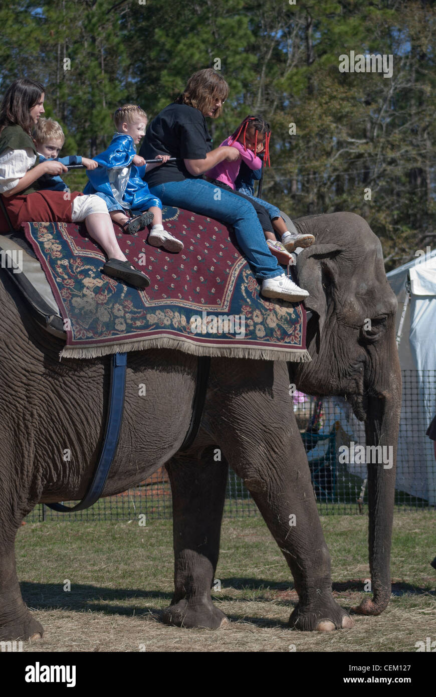 People riding elephant at annual Hoggetowne Medieval Faire, Gainesville