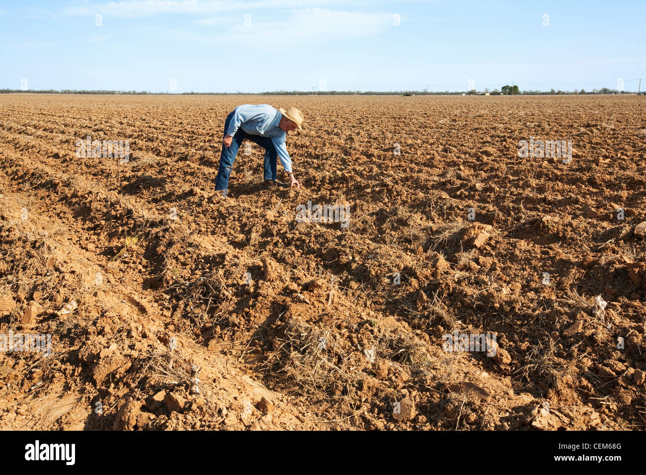 Agriculture - A farmer (grower) examines bedded ground that will be planted to cotton in the coming months / England, Arkansas. Stock Photo