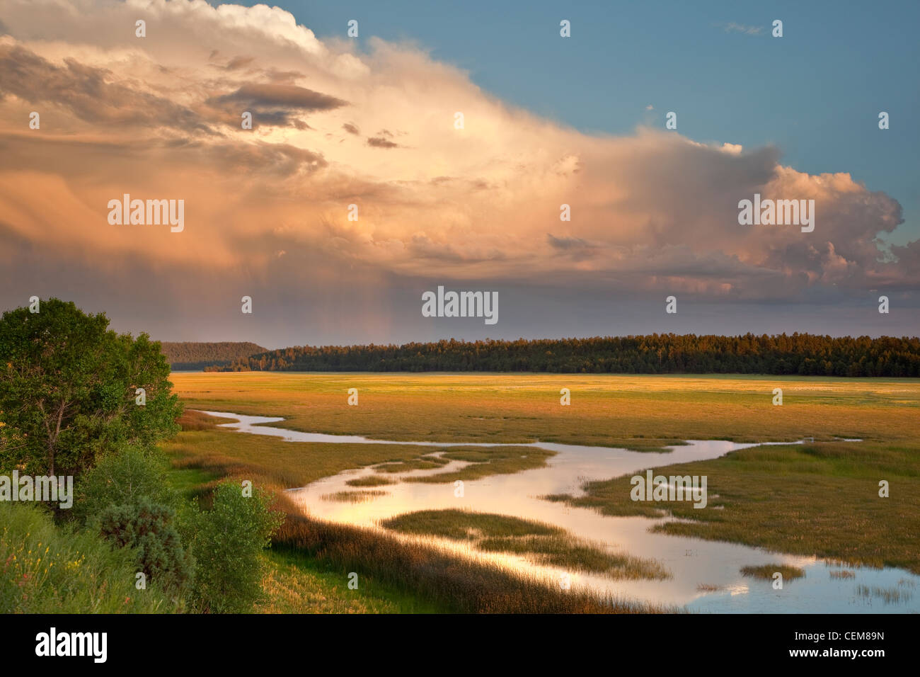 Lower Lake Mary, summer monsoon rainy season, Coconino National Forest, south of Flagstaff