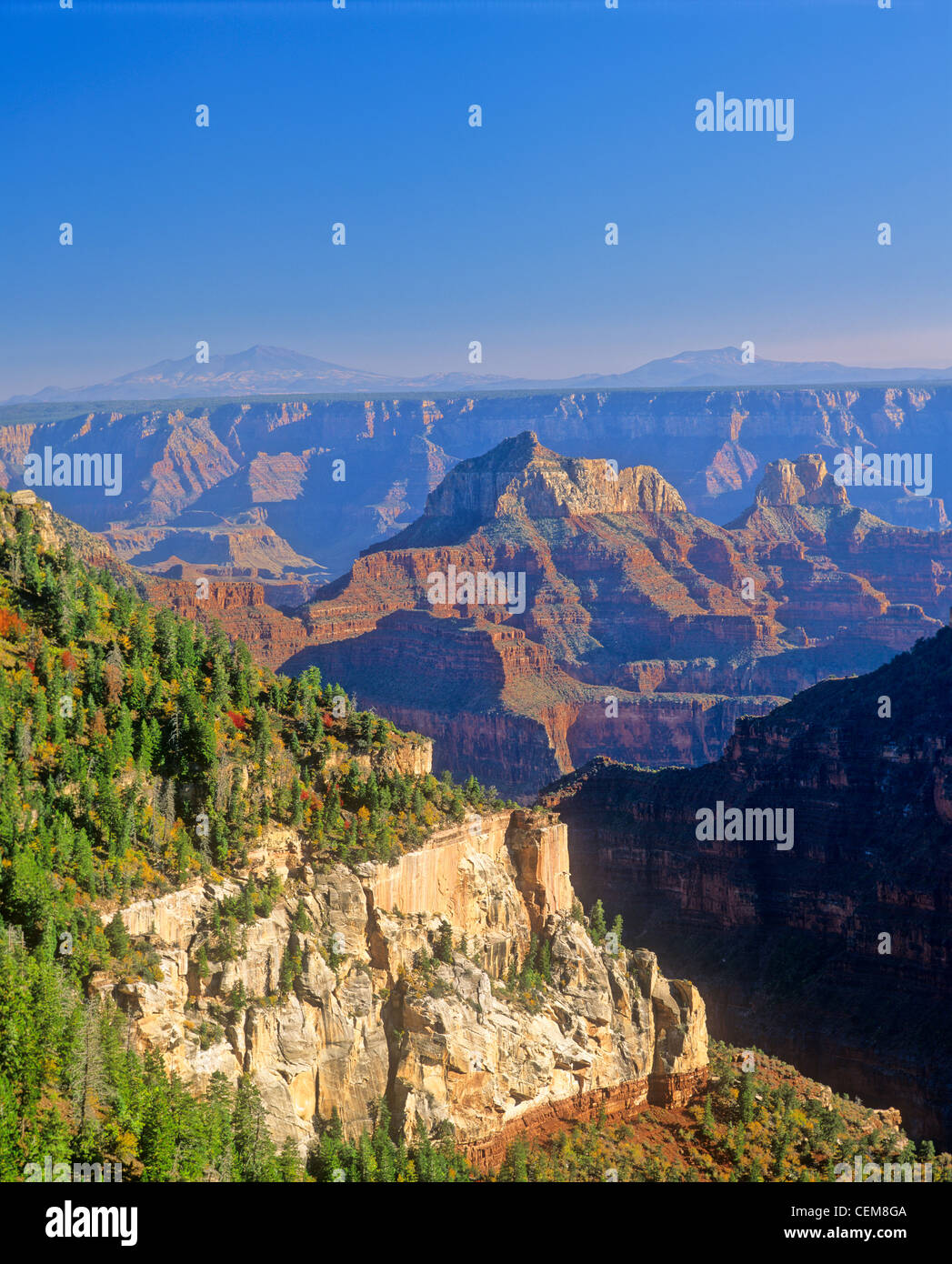 View across Grand Canyon from North Rim with San Francisco Peaks in distance, Grand Canyon National Park, Arizona, USA Stock Photo