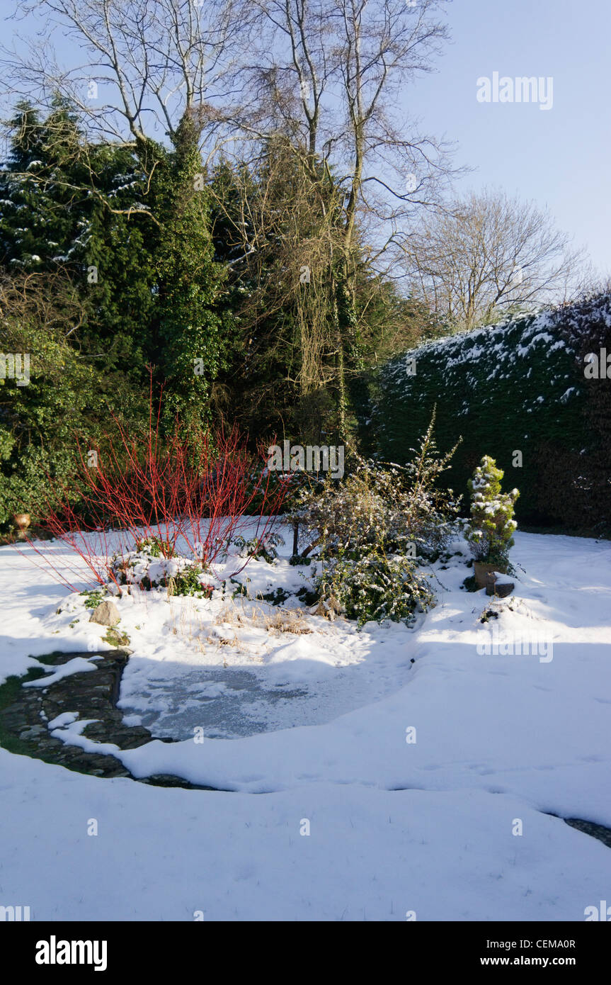 Garden pond winter hires stock photography and images Alamy