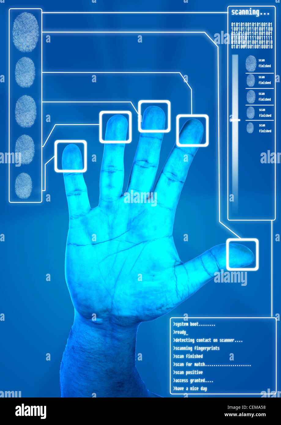 Fingerprint Scanning for secure authorization Stock Photo