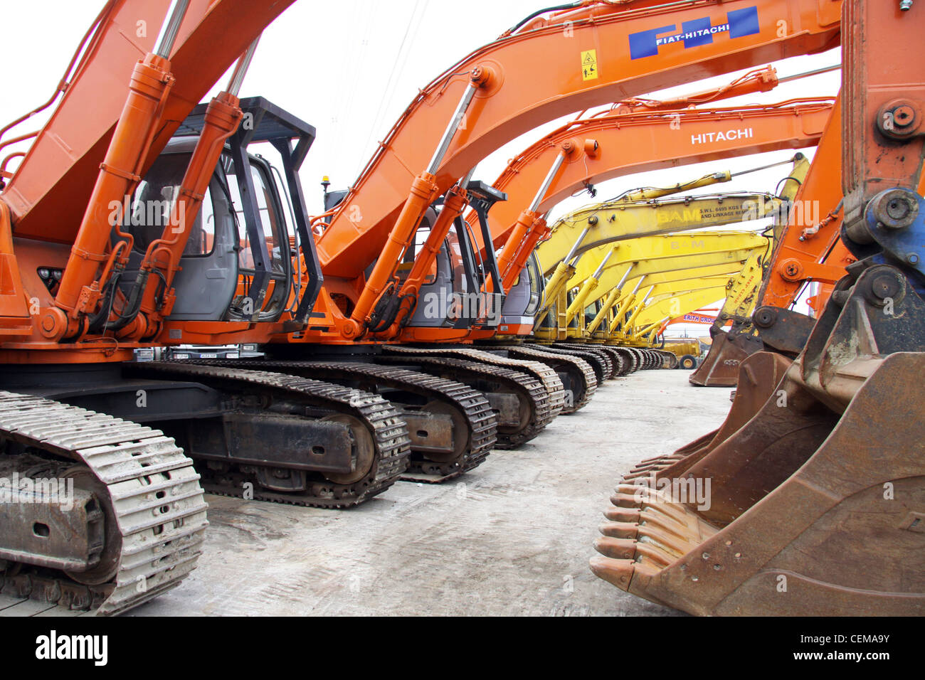 Diggers JCBs in a line at auction Stock Photo