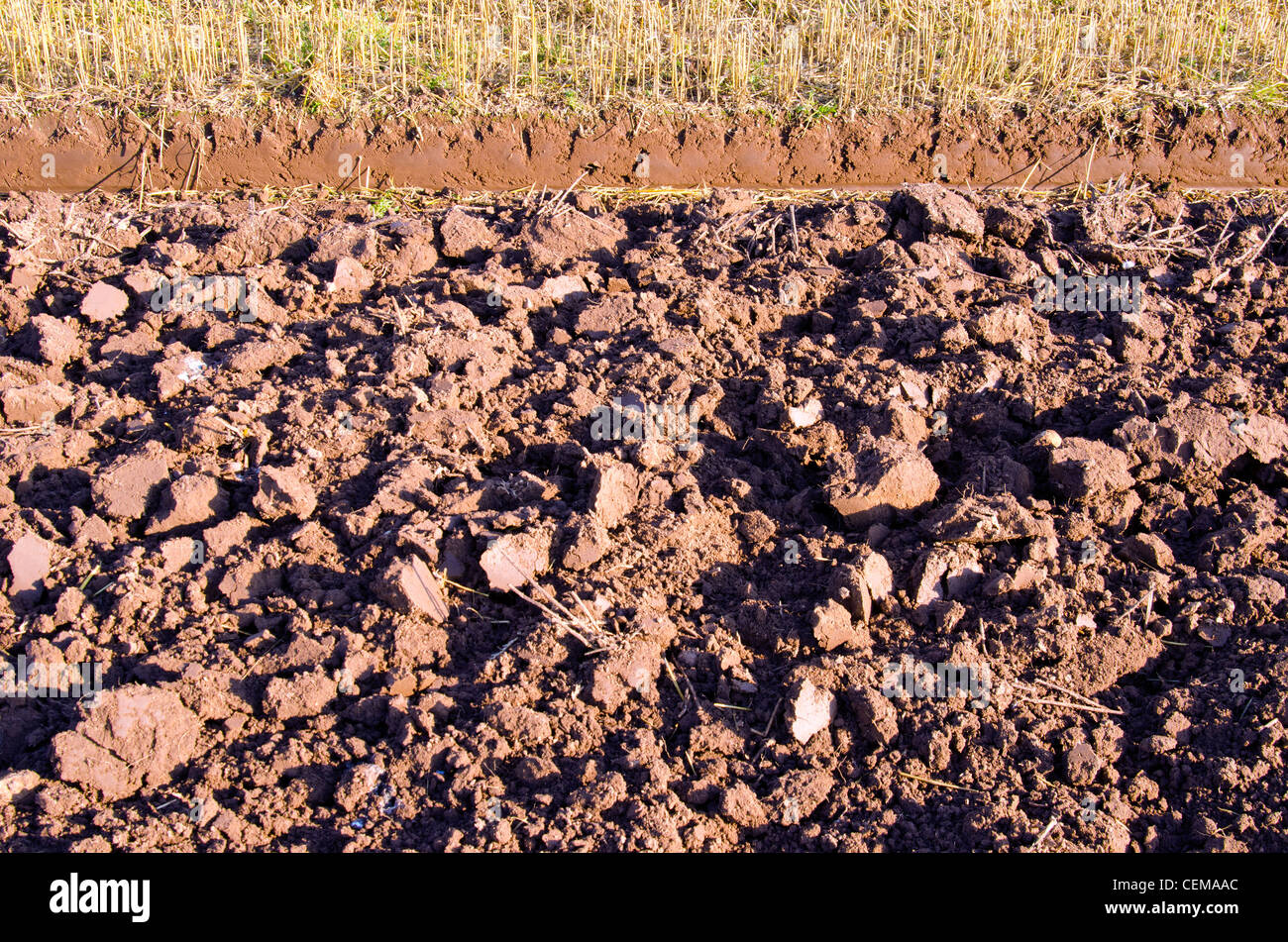 Plowed agriculture field backdrop background closeup. Fertile land