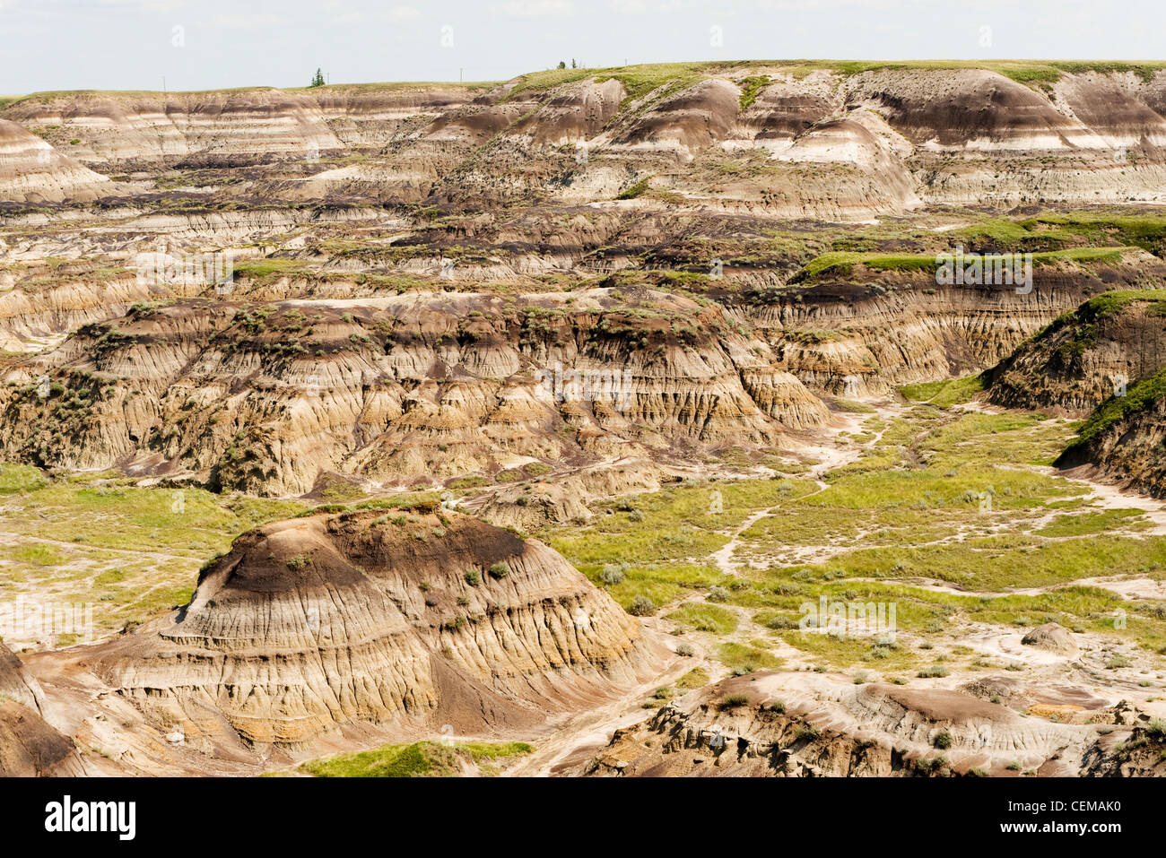 Horseshoe Canyon, in the Alberta badlands, near Drumheller, Alberta