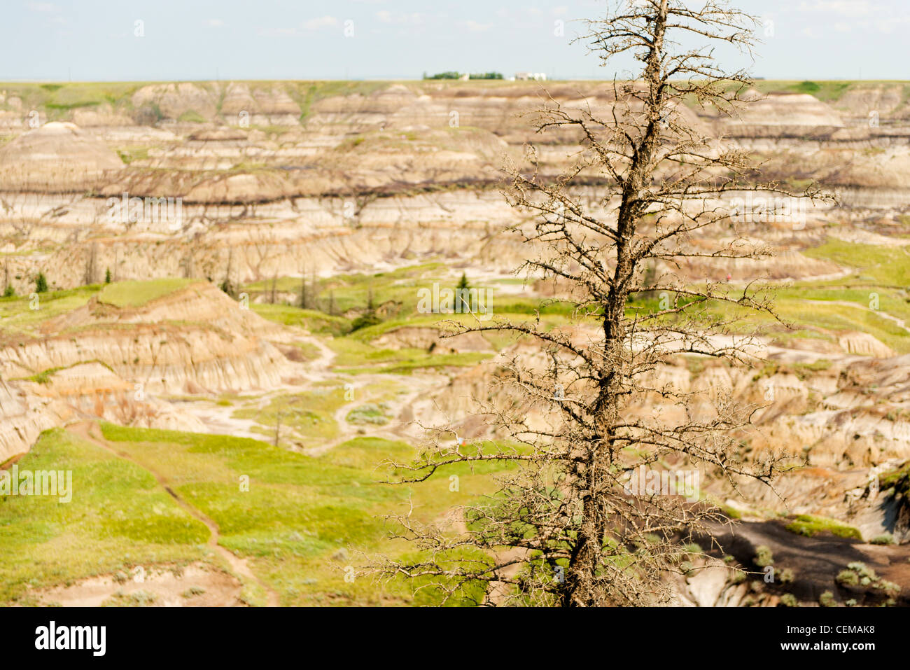 Horseshoe Canyon, in the Alberta badlands, near Drumheller, Alberta