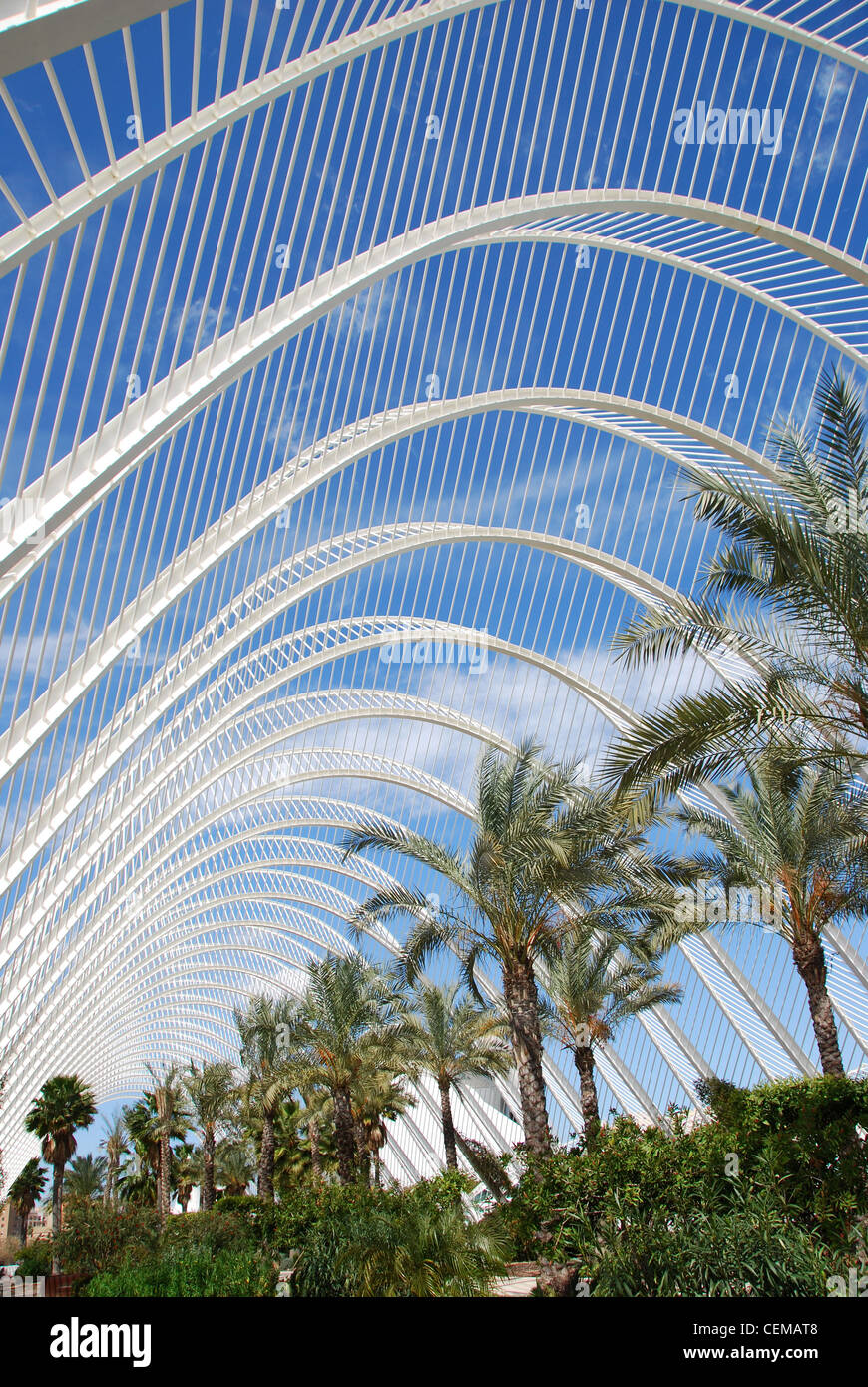 'l Umbracle, promenade, City of Arts and Sciences, designed by Santiago ...