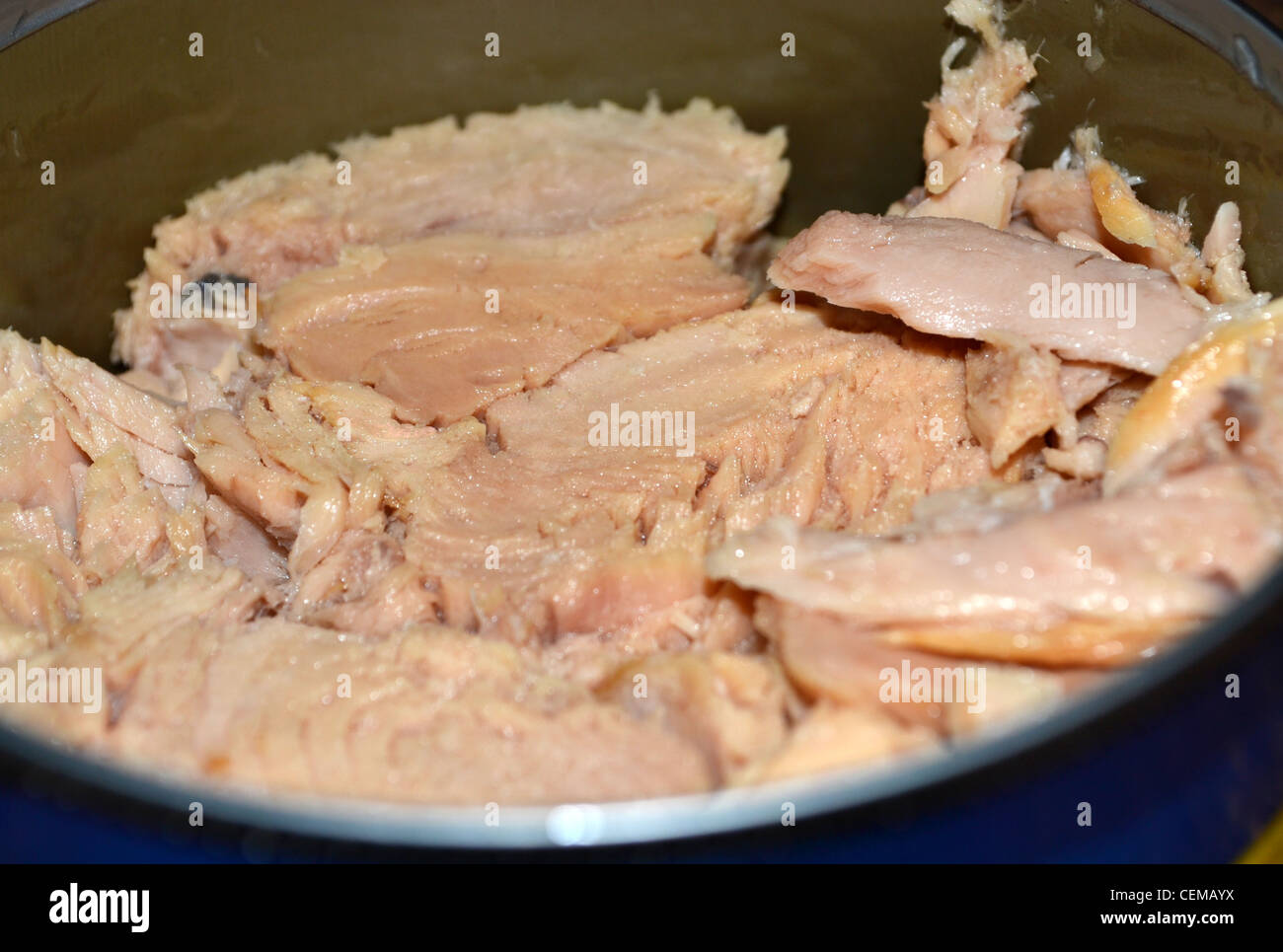 Can of tuna hires stock photography and images Alamy