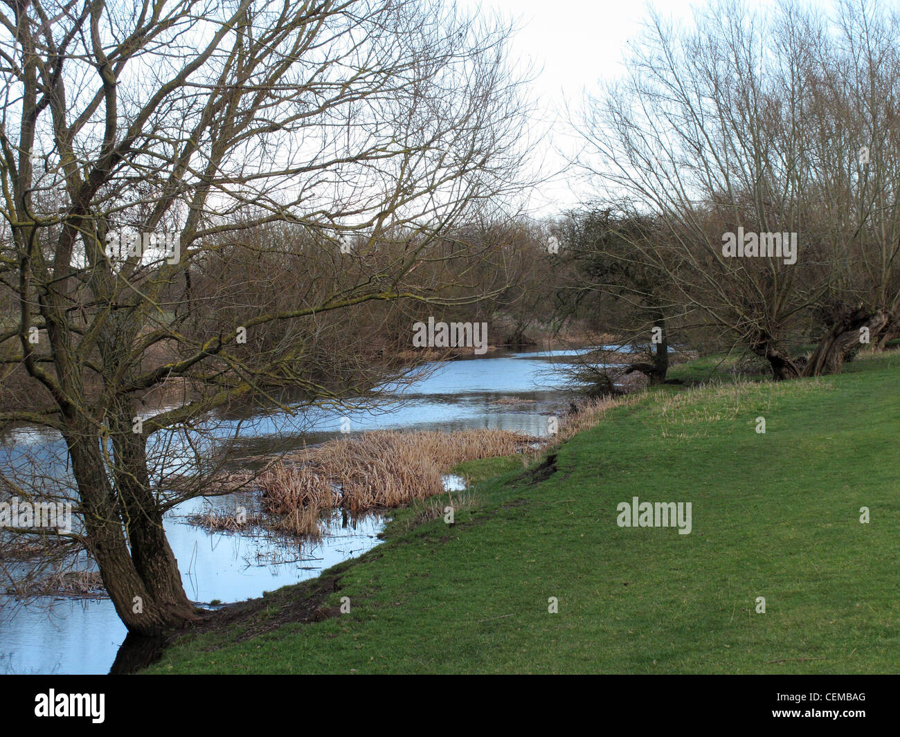 The River Avon, near Welford on Avon, Warwickshire Stock Photo