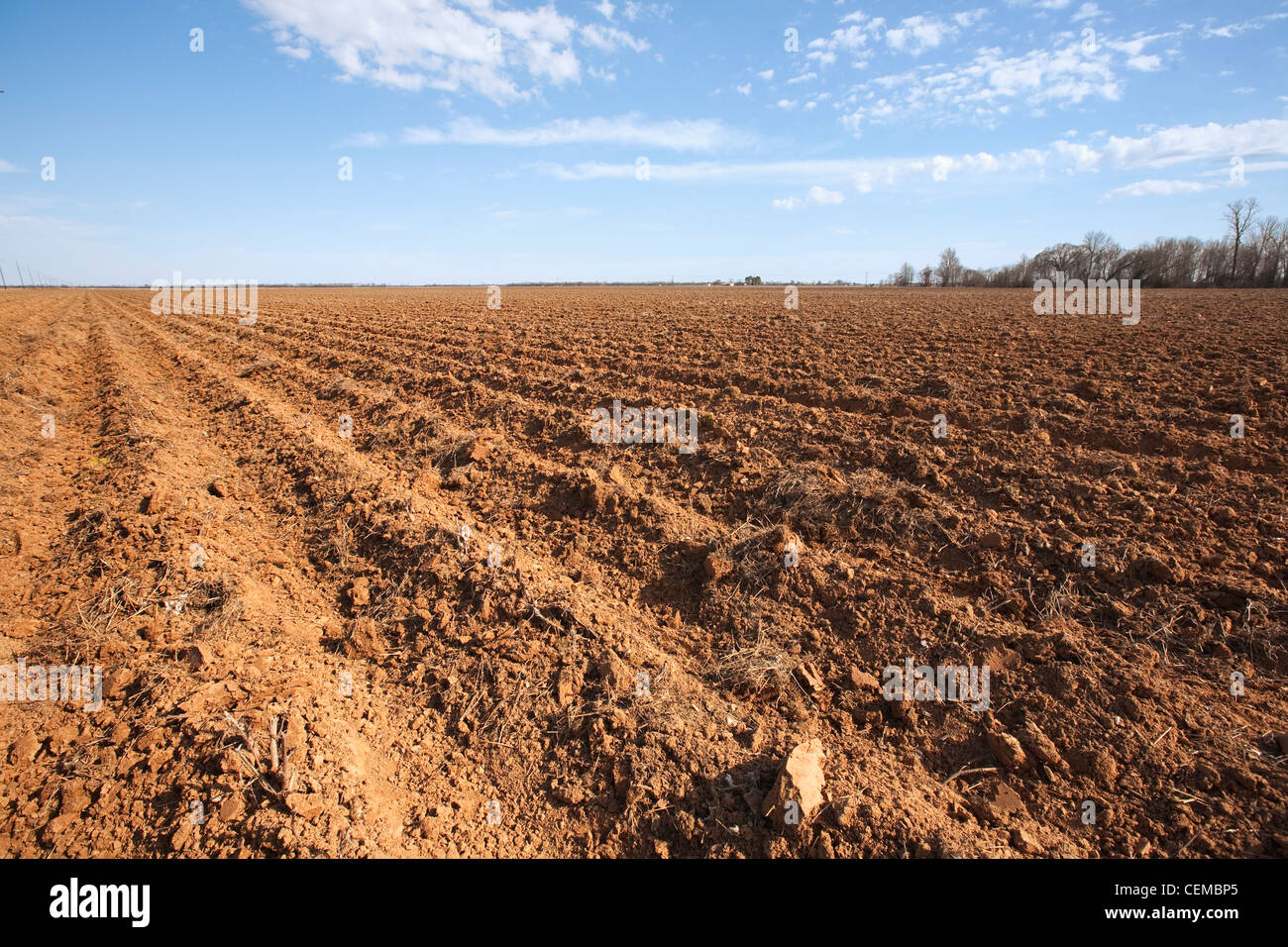Agriculture Bedded up field in Spring, prepared and ready for