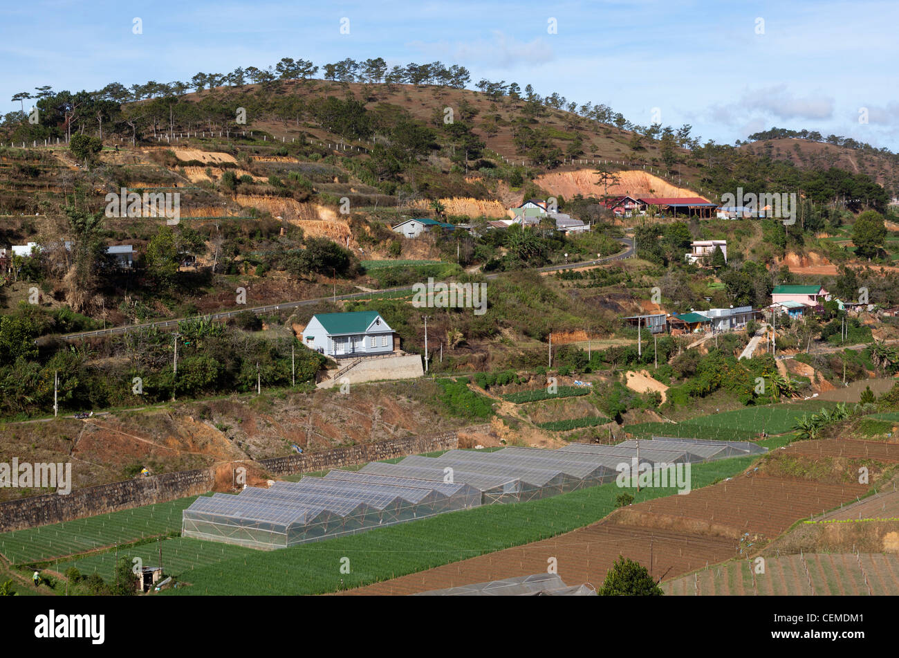 Farmland around Dalat Vietnam Stock Photo Alamy