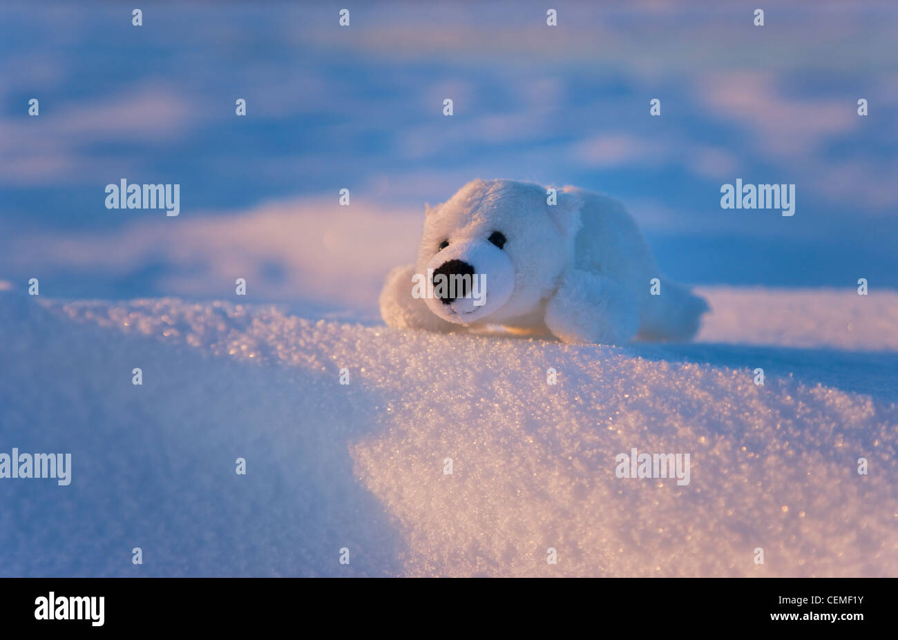 Stuffed toy of polar bear on snowManitoba, Canada Stock Photo