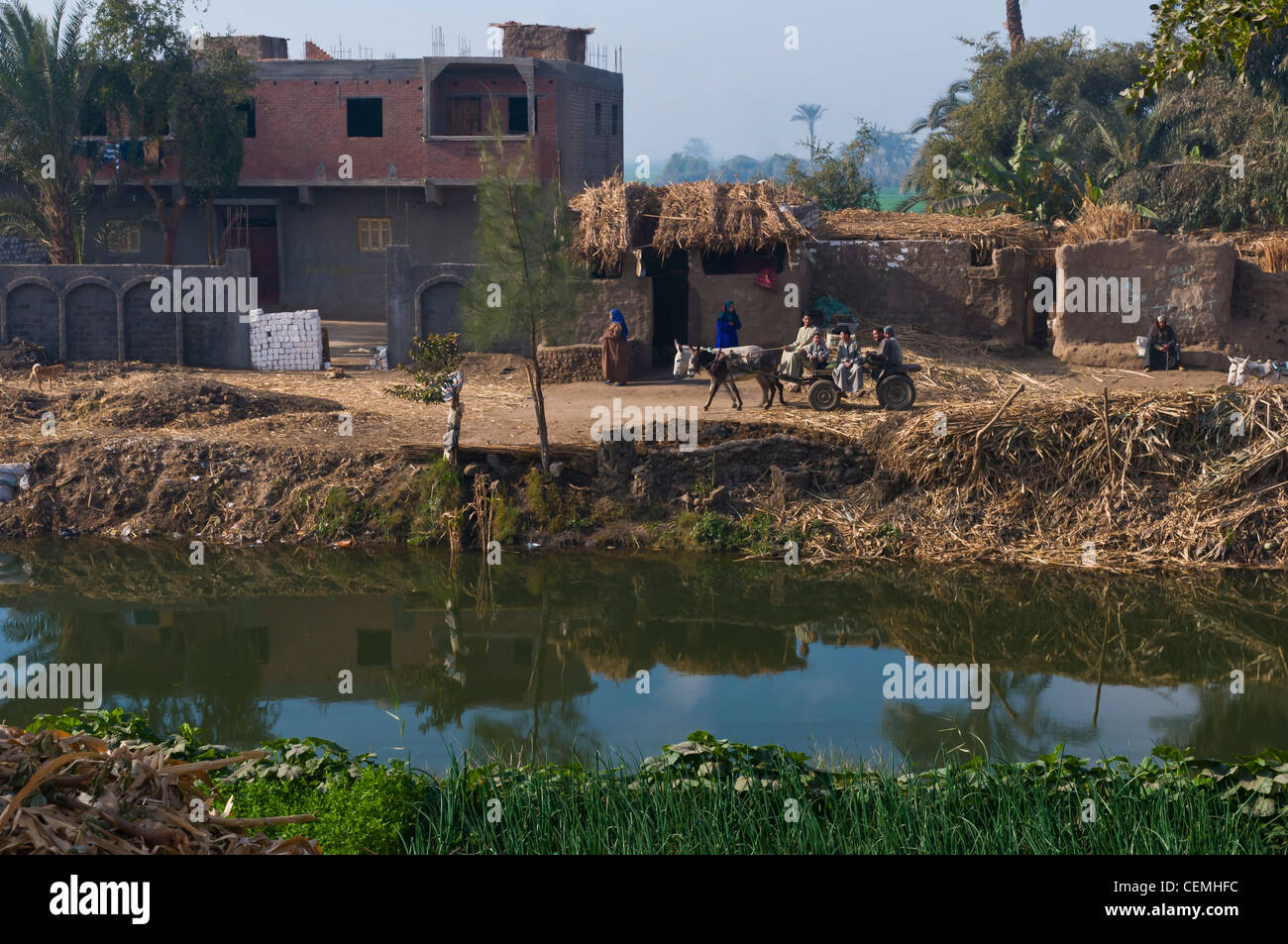 Branches of the Nile River in the Minya region Egypt Stock Photo - Alamy
