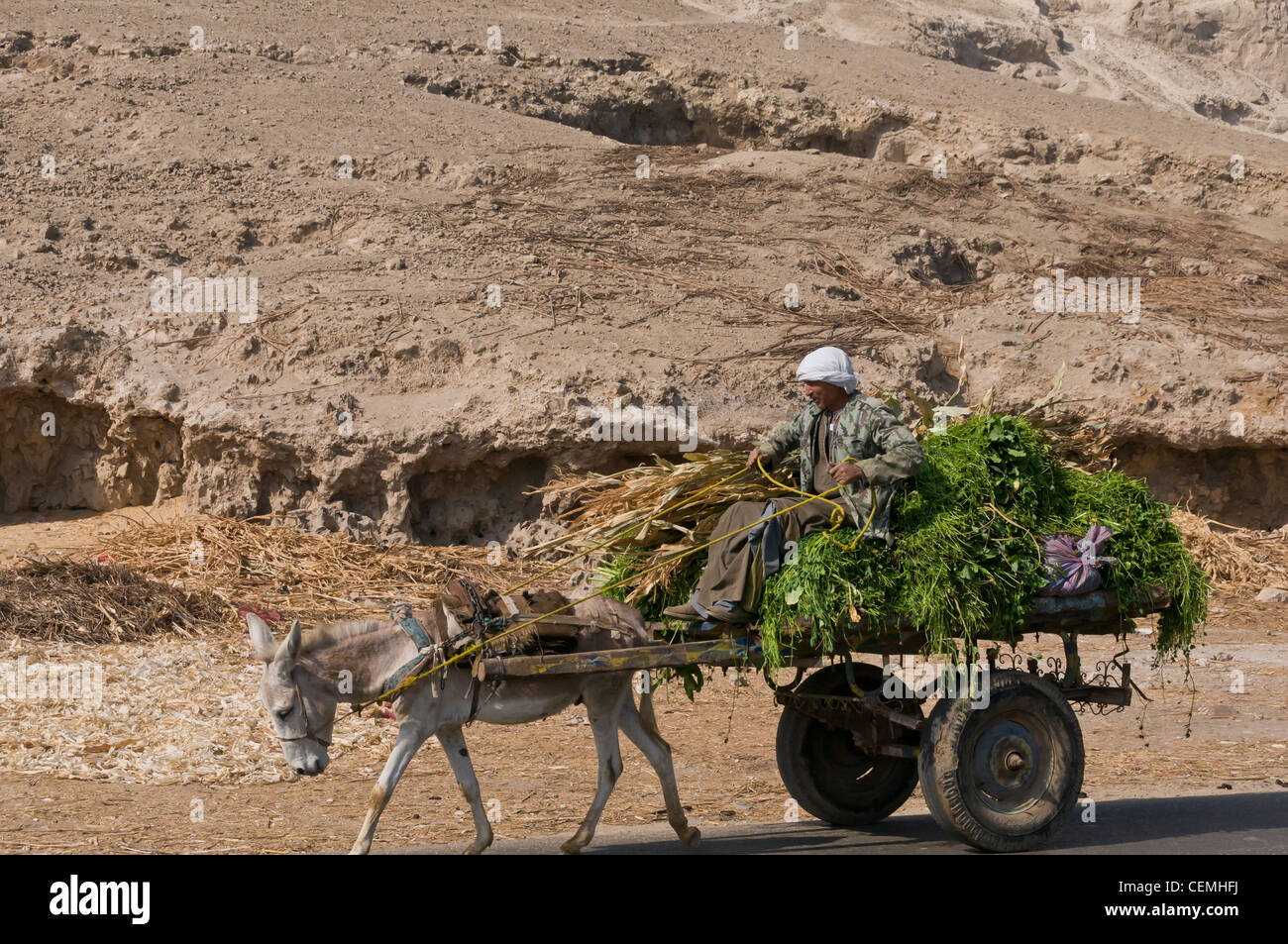 Peasant on carriage and his donkey Assiyut Egypt Stock Photo Alamy