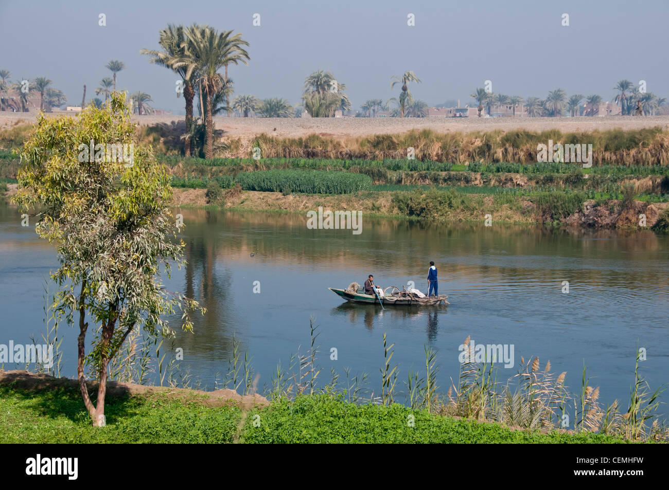 Branches of the Nile River in the Minya region Egypt Stock Photo - Alamy