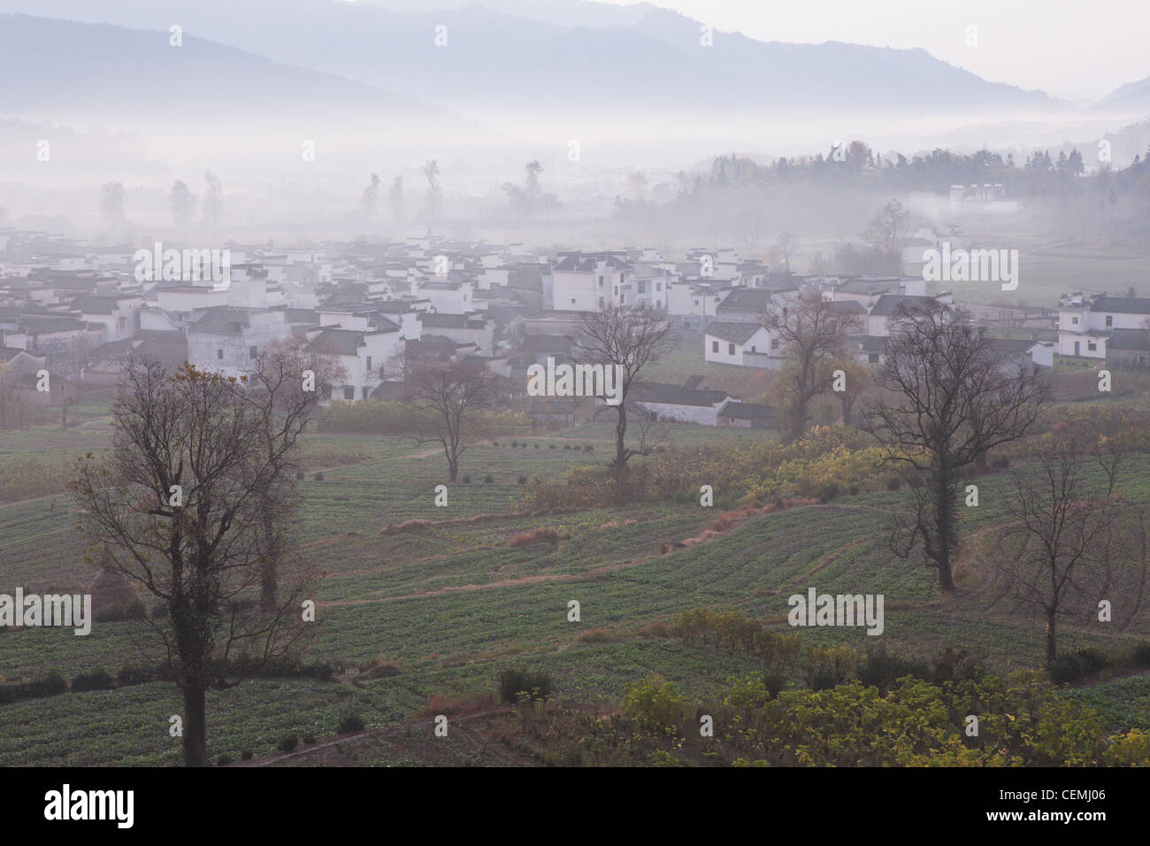 China ,day,agriculture Natural ,Phenomenon,tourism,plant, Nobody ,tree, Color Image,  Land Feature , Anhui , fog, Stock Photo