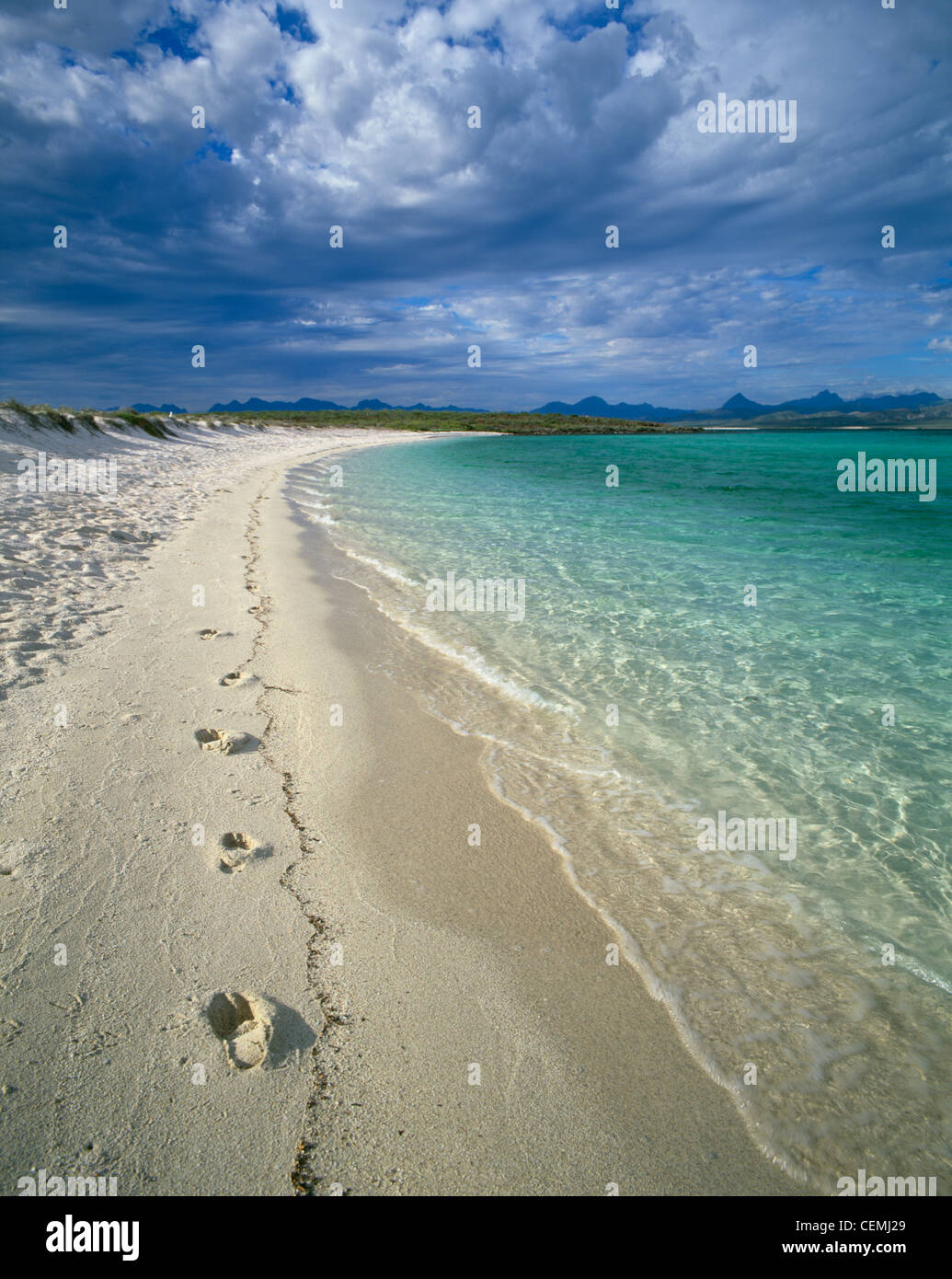 The beach on Isla Coronado, Baja California Sur, Mexico Stock Photo