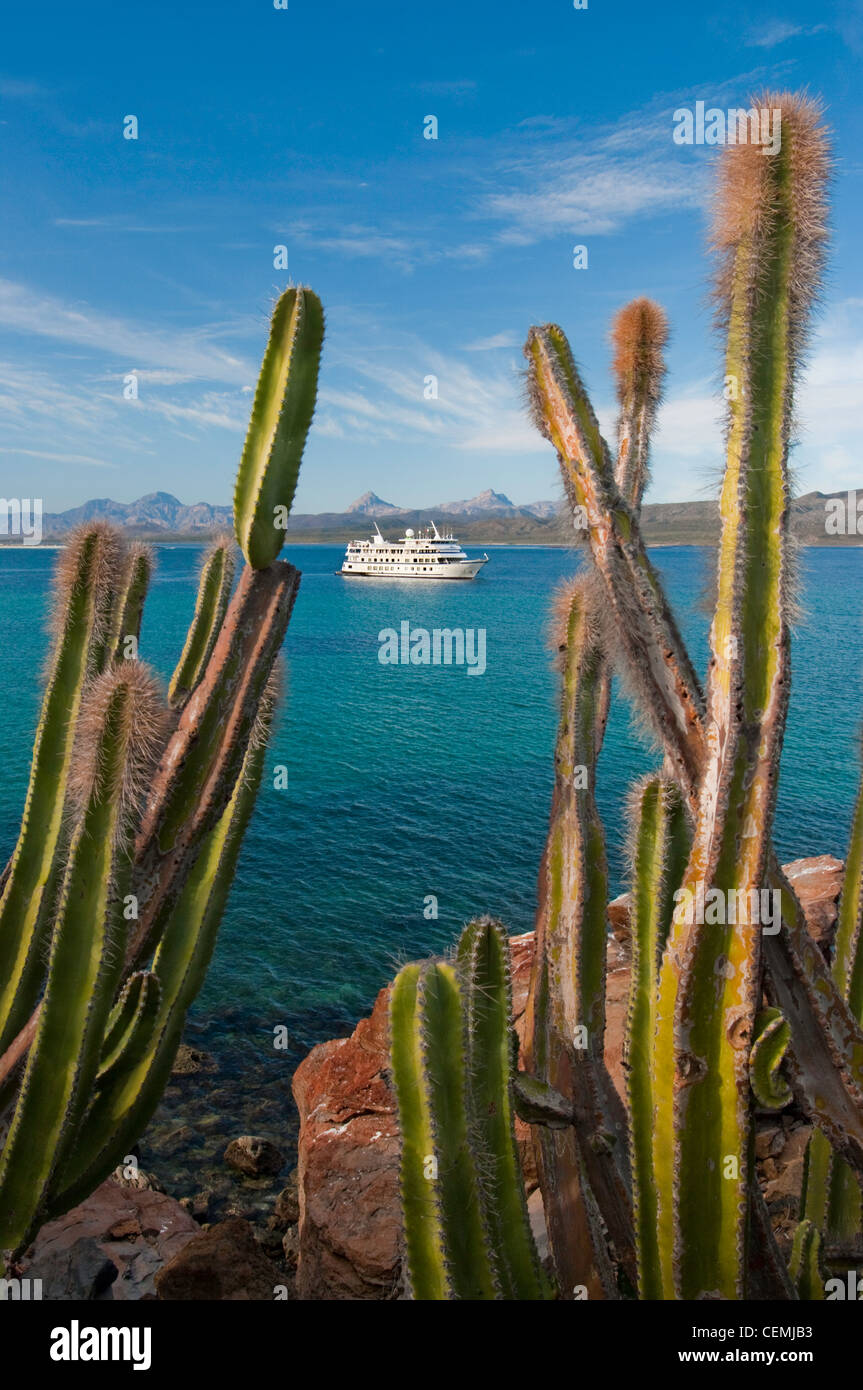 A small adventure class cruise ship cruises past Isla Coronado, Sea of Cortez, Baja California del Sur, Mexico Stock Photo