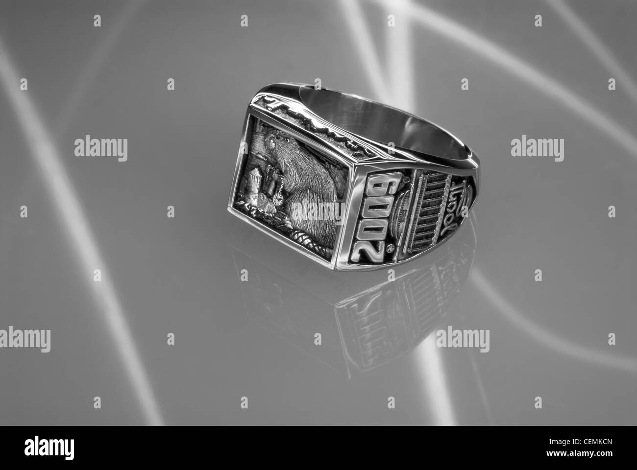 MIT's 2009 Class Ring, or "Brass Rat Stock Photo - Alamy