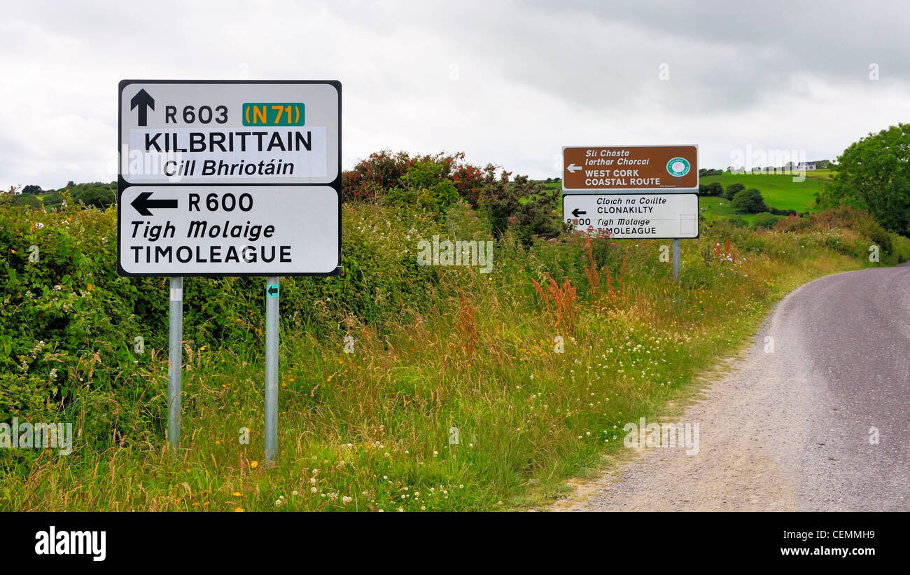 Street signs at Route R600 in Glanavaud, Cork County, Ireland. Stock Photo