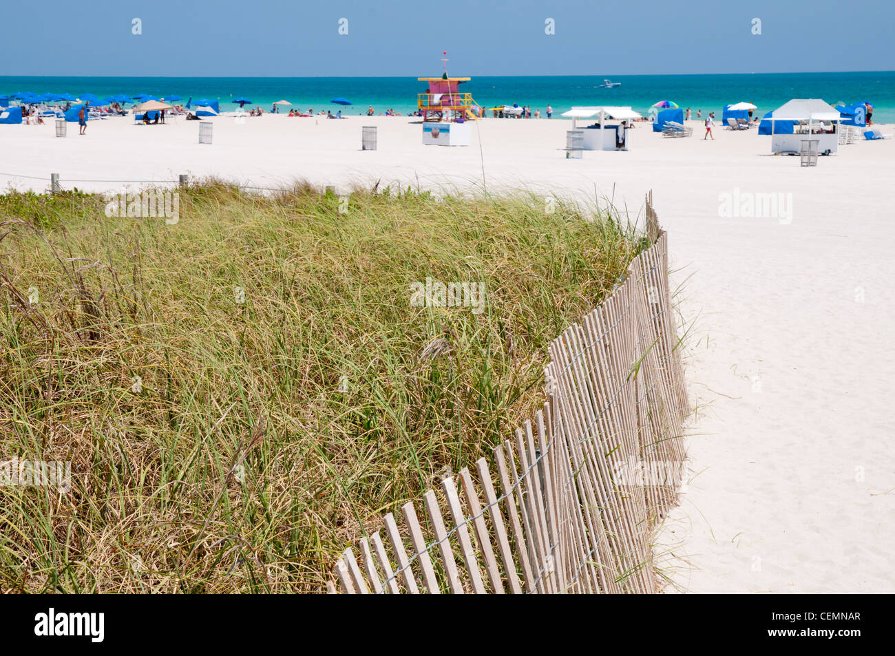 Fence And Grass near Miami Beach SoBe Entrance Stock Photo