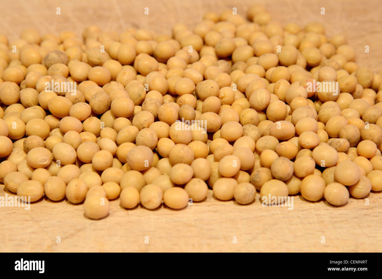 A close up os colored dry soya beans Stock Photo Alamy