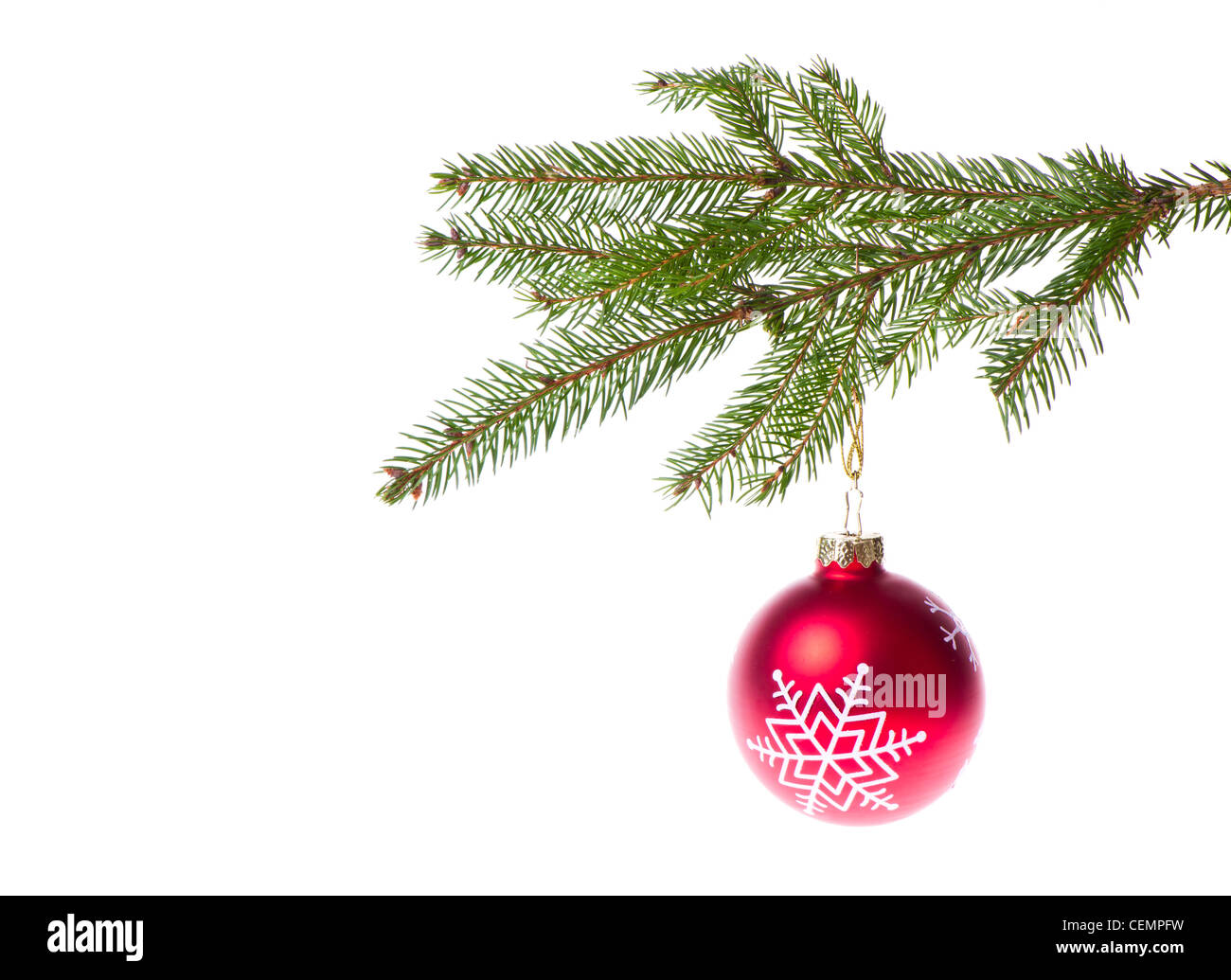 red christmas tree ball hanging from spruce isolated on white ...