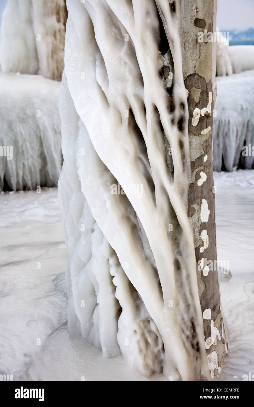 A Frozen tree Stock Photo
