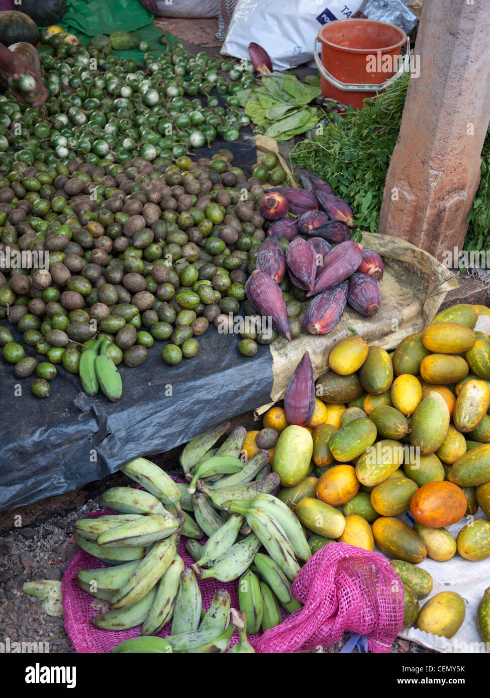 vegetable stall in street market sri lanka selling banana flowers