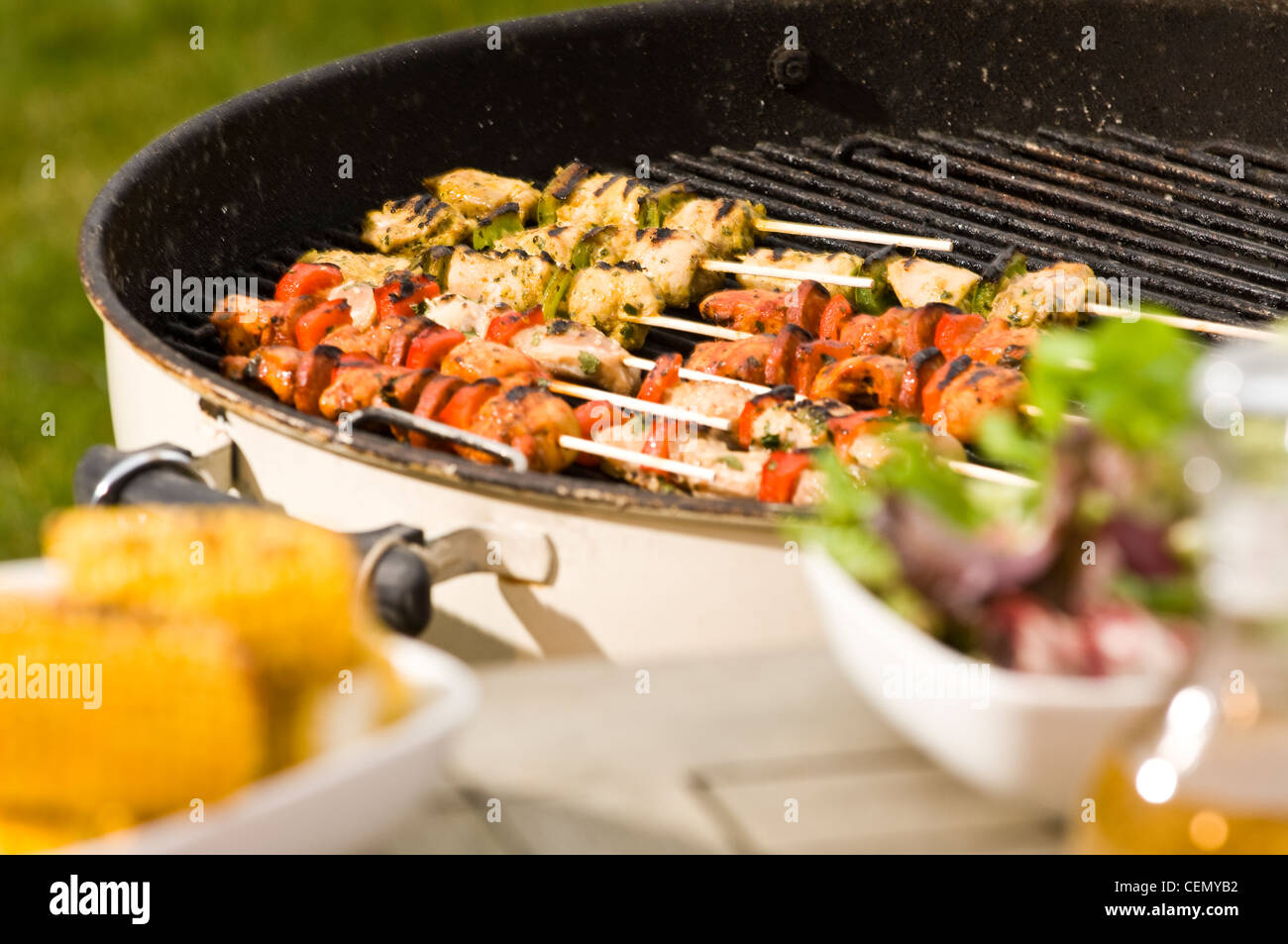 Bbq Kebabs 2 Stock Photo