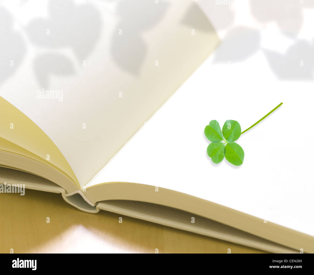 Four leaf clover on an open book, Digital composite Stock Photo Alamy