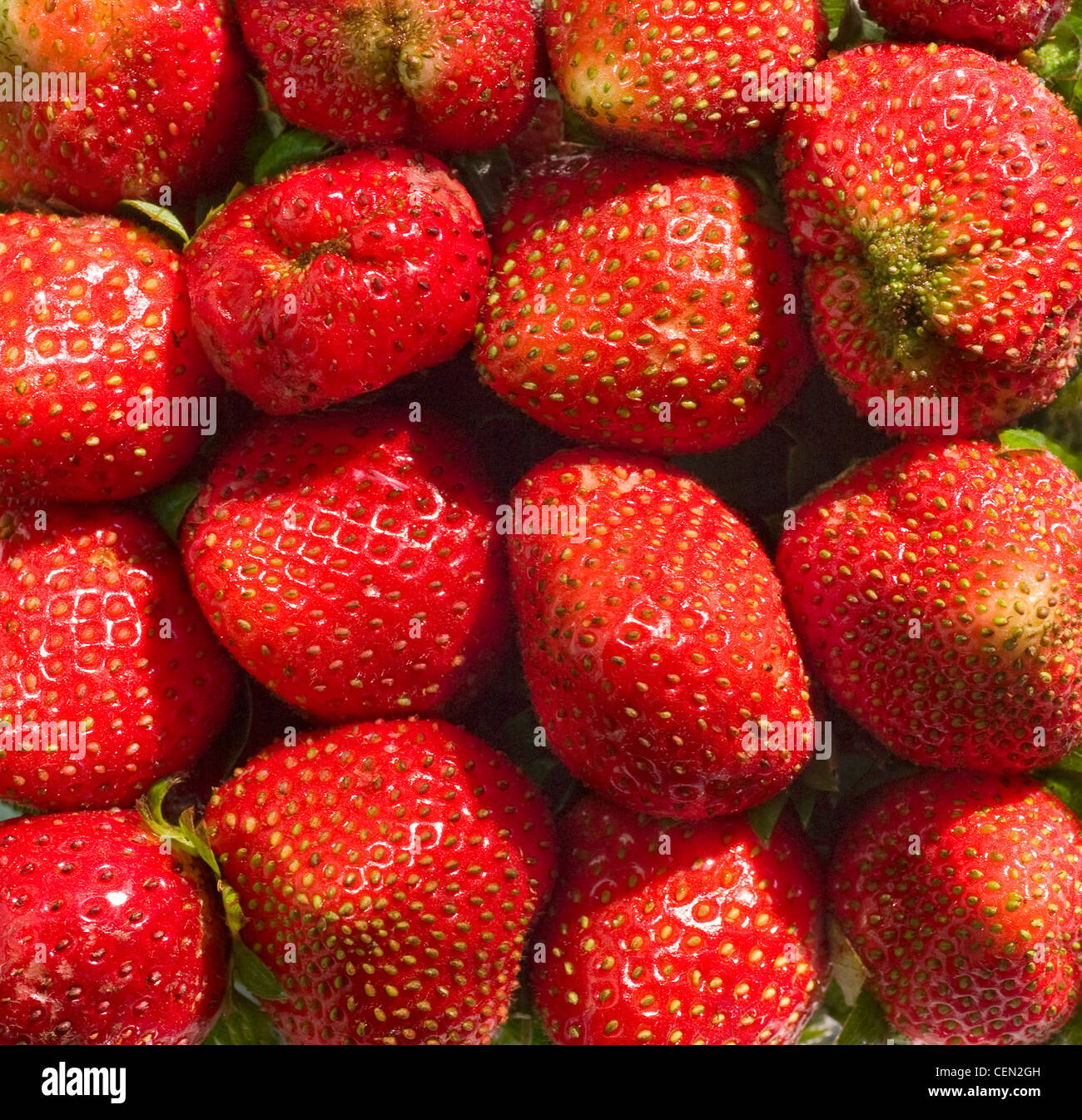 Fresh ripe perfect strawberry - Food Frame Background Stock Photo - Alamy