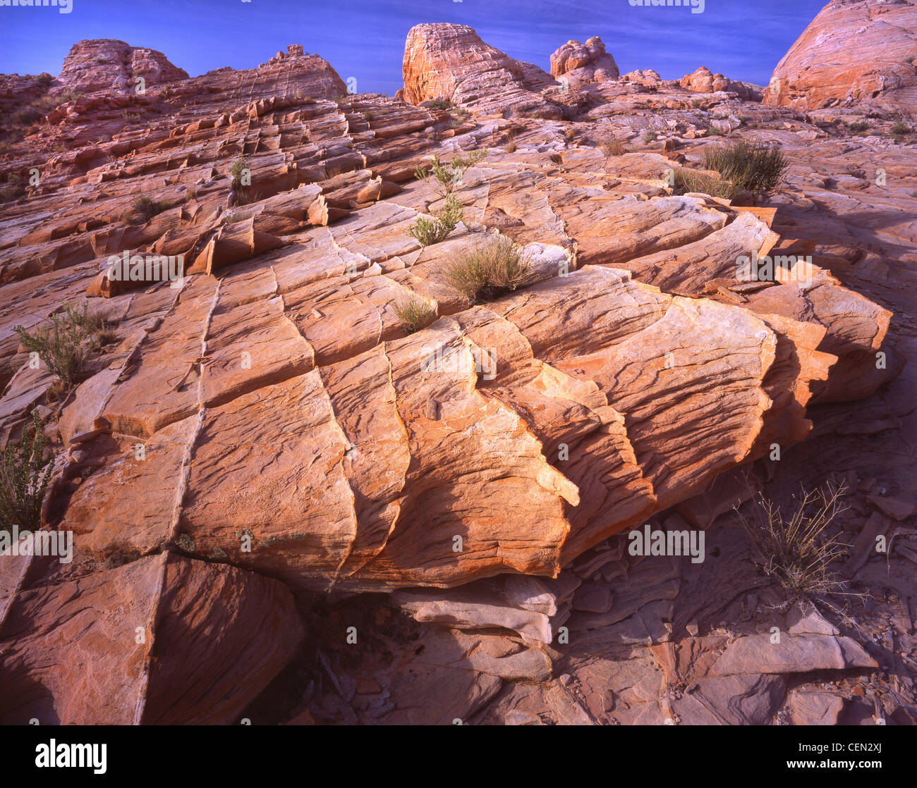 Sunrise on Valley of Fire State Park in Nevada, about 35 miles north of Las Vegas Stock Photo