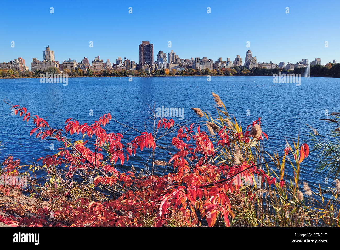 Central Park Autumn with New York City Manhattan Midtown skyline ...