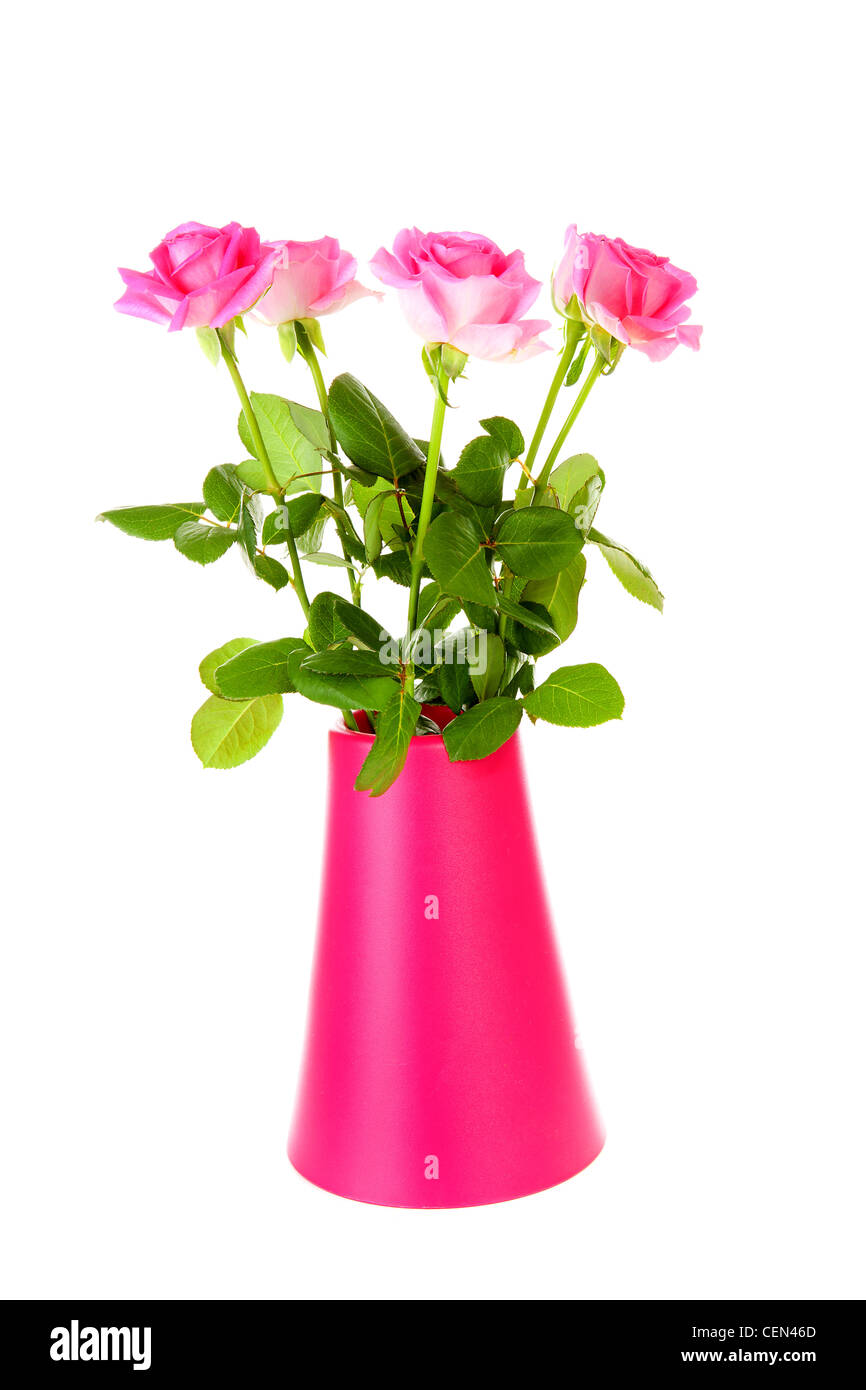 Bouquet of roses in pink vase over white background Stock Photo - Alamy