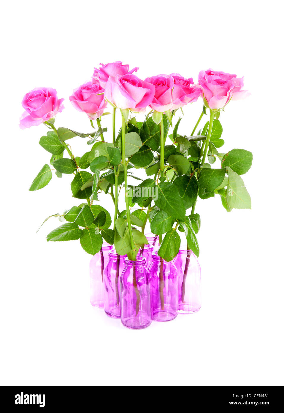 Bouquet of roses in pink vases over white background Stock Photo - Alamy