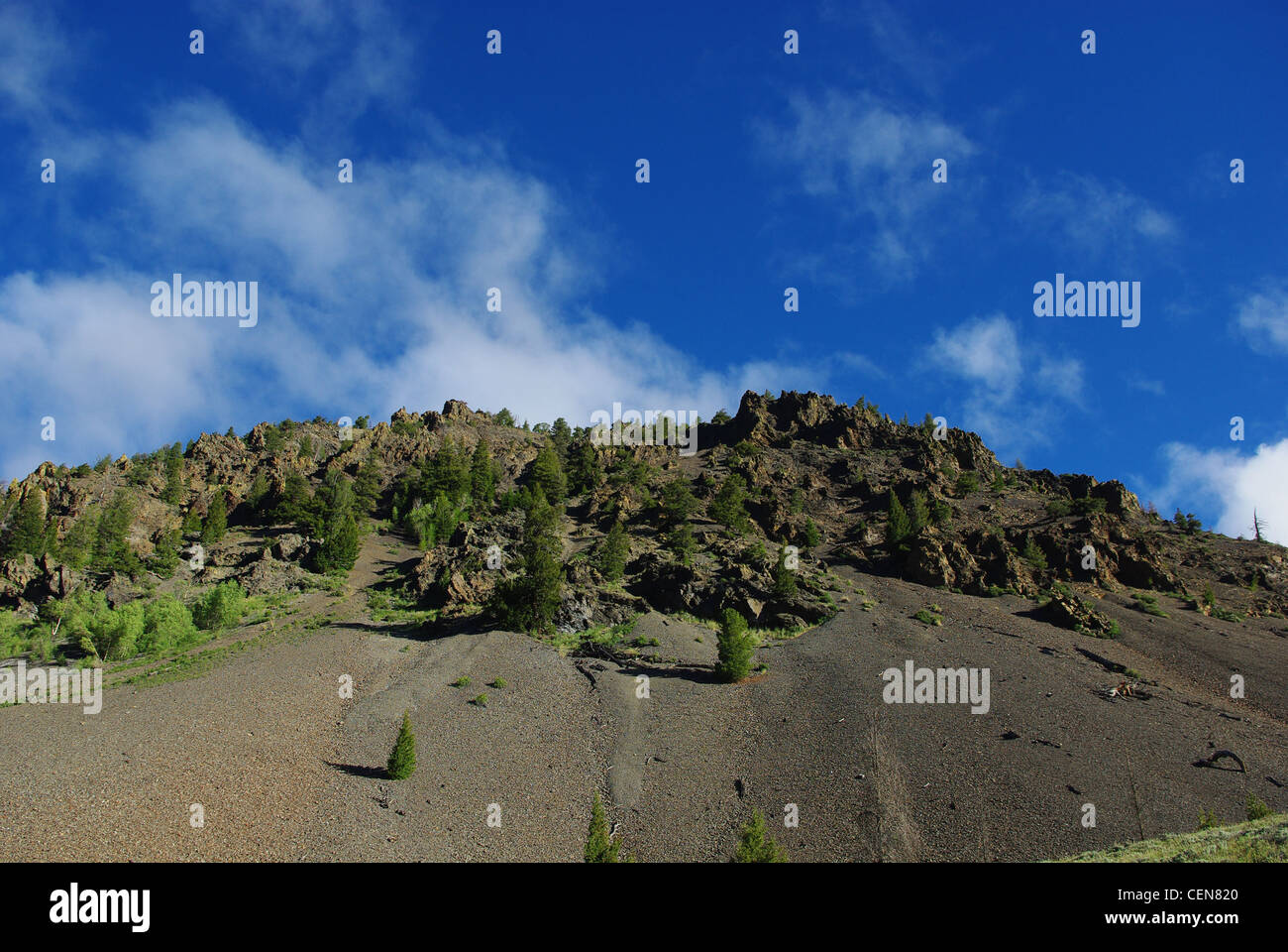 Trees, rocks and mountains in high valley, Salmon Challis  National Forest, Idaho Stock Photo