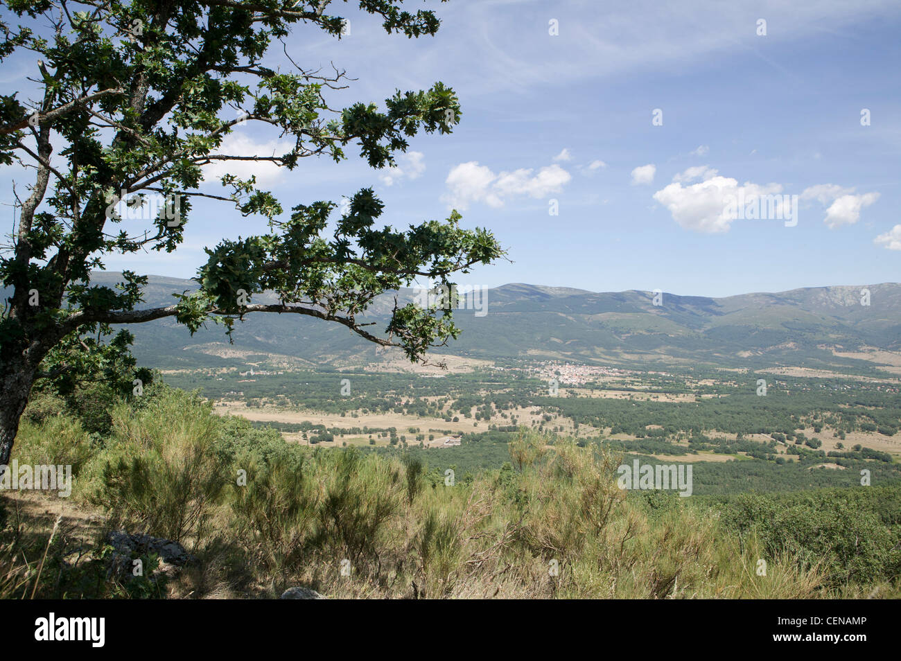 Rascafria Madrid field Spain nature mount forest green rock tourism ...