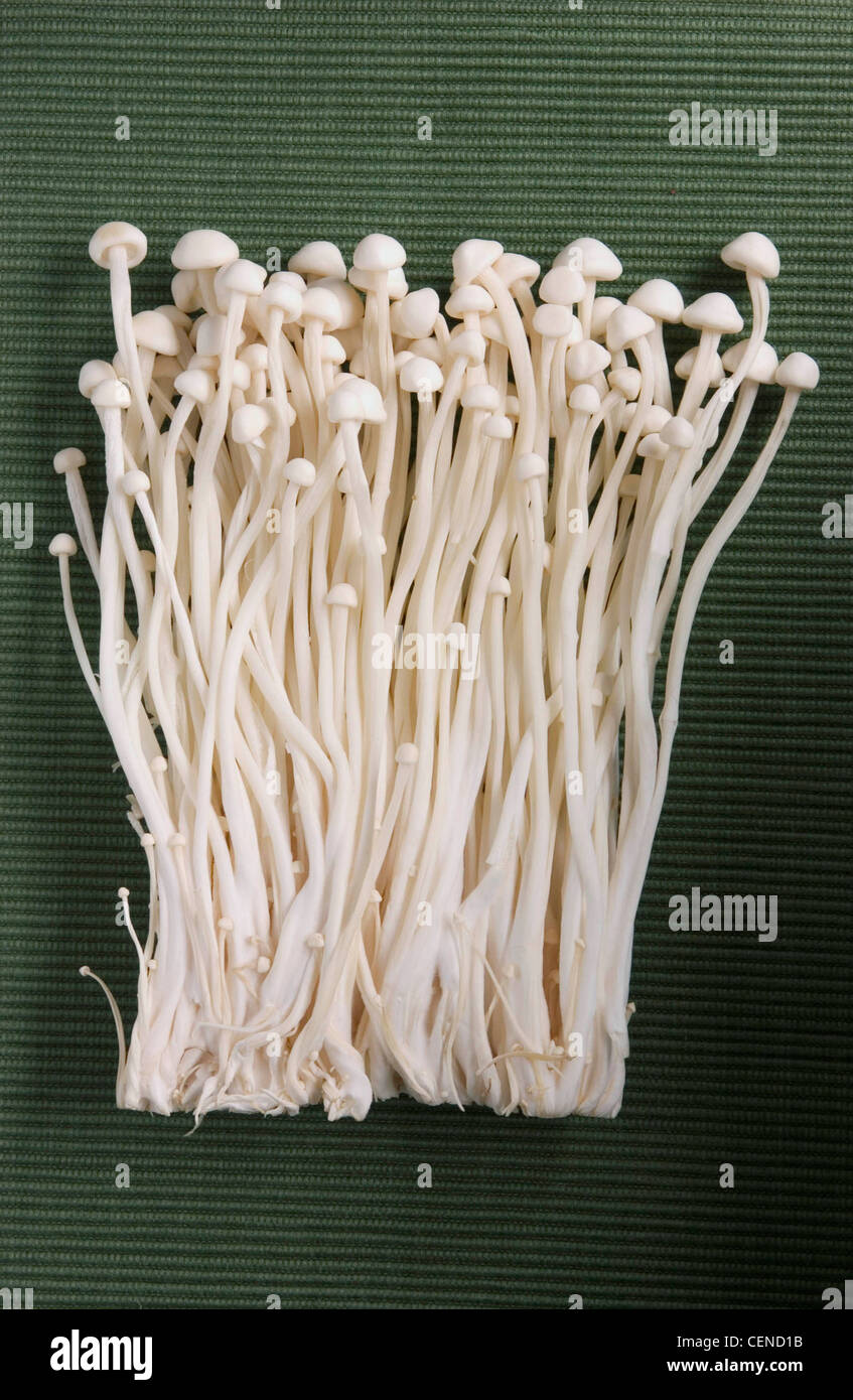 Eroki hi-res stock photography and images - Alamy