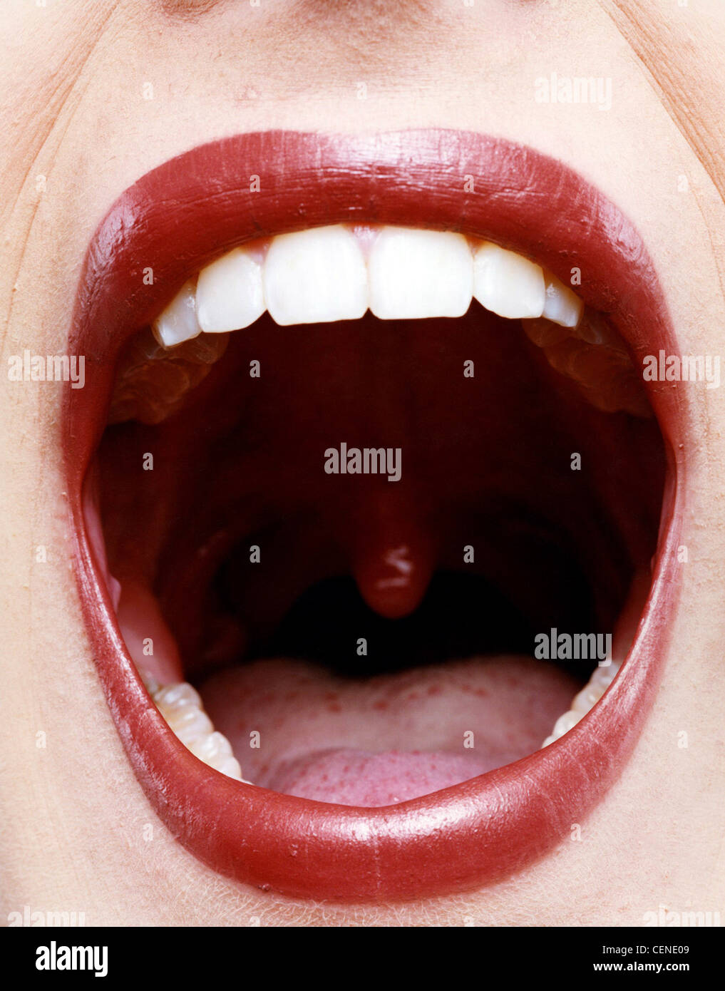 Close up image of female's open mouth showing uvula  Wood Stock Photo