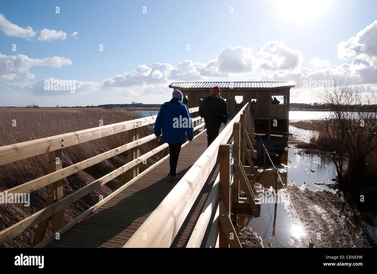 minsmere rspb nature reserve, island mere hide, suffolk, england Stock Photo