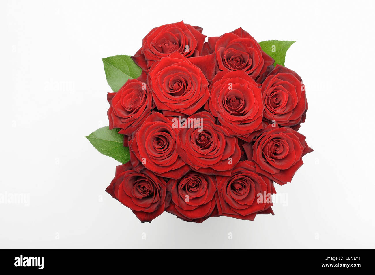 Bouquet of red roses Stock Photo Alamy