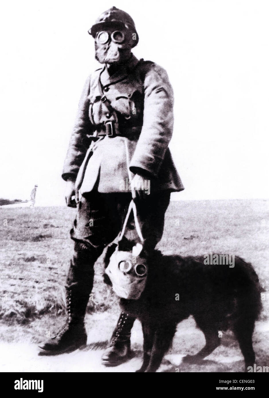 Military war dog in service with French army during WW1 wearing gas mask Stock Photo
