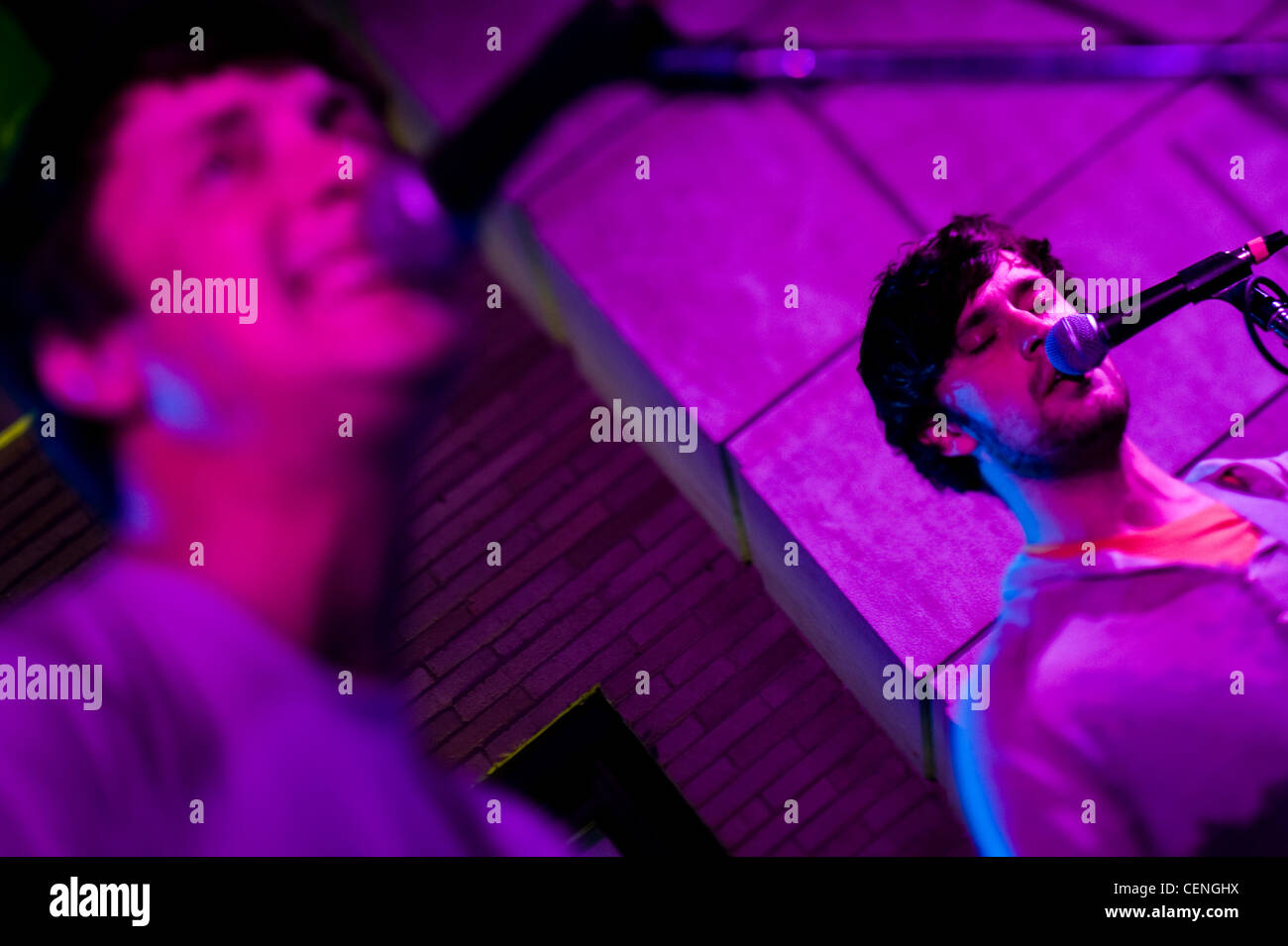 Religious / Psychedelic / Punk Rock band Pterodactyl performs during