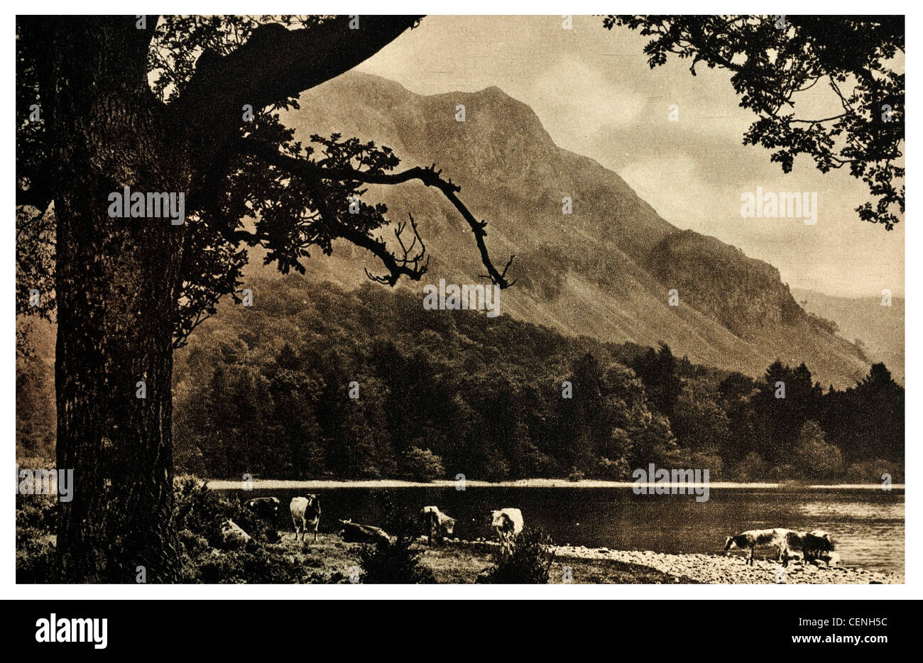 Falcon Crag Derwent Water Derwentwater Lake District National Park