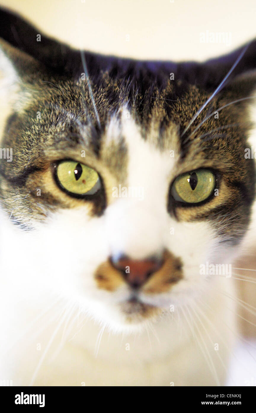 Look listen and feel hi-res stock photography and images - Alamy