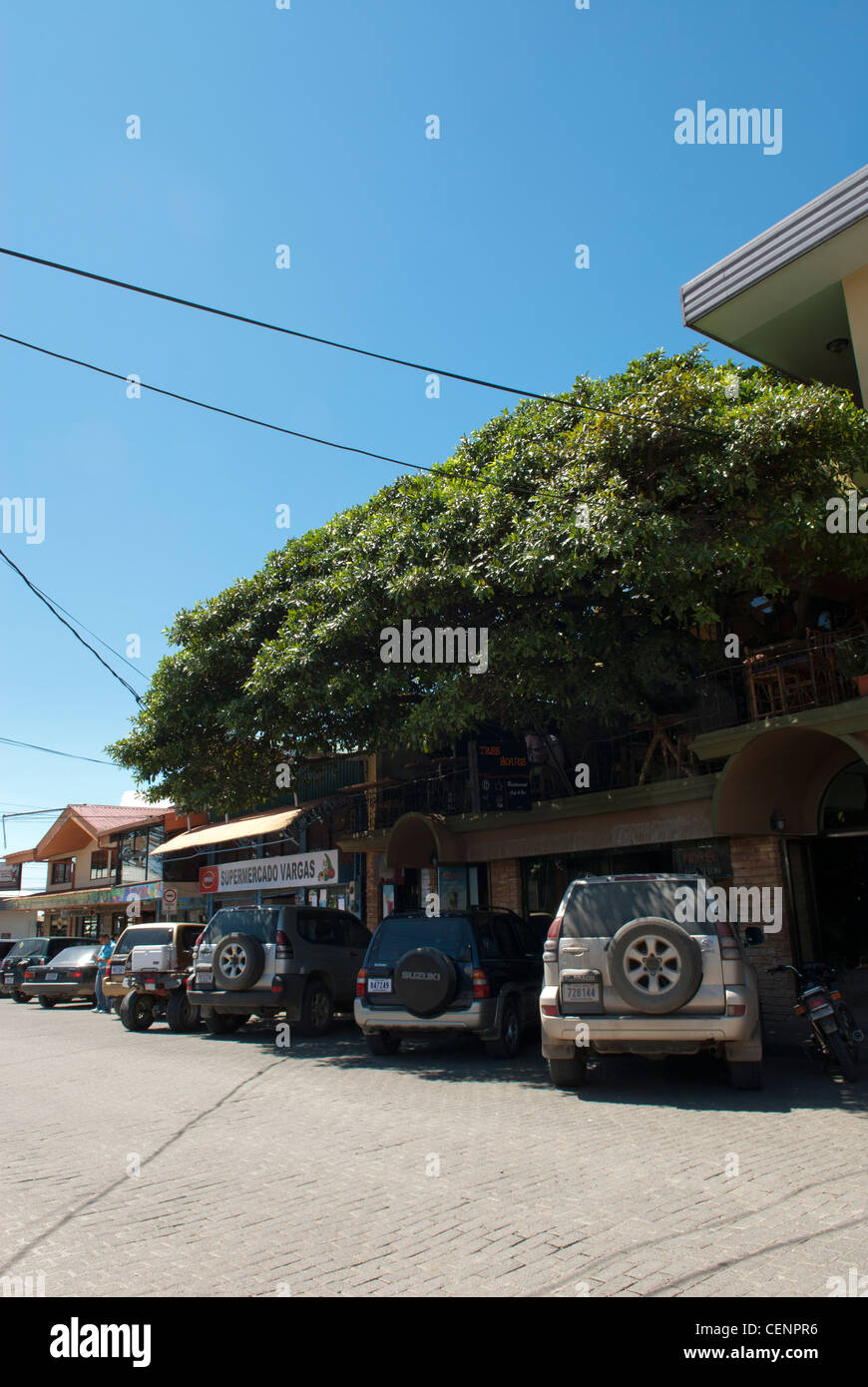 The Tree House restaurant and bar, Santa Elena, Monteverde, Costa Rica